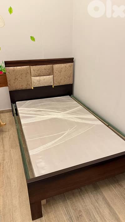 تحت مفرد و نص