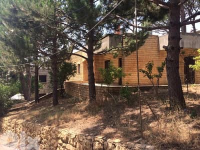 Villa 2floors 350m total on 600m land Duwwar Bekfaya Metn