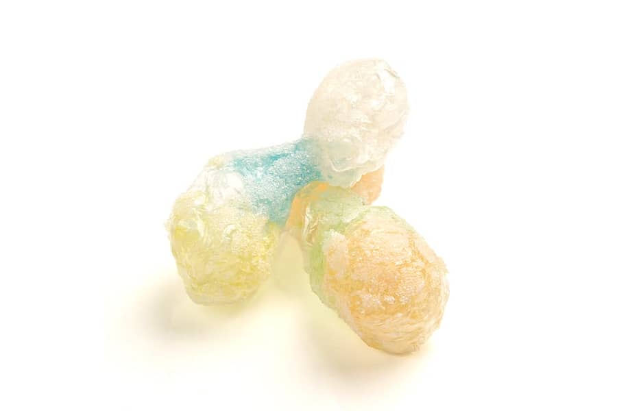 Freeze-Drying Business 3