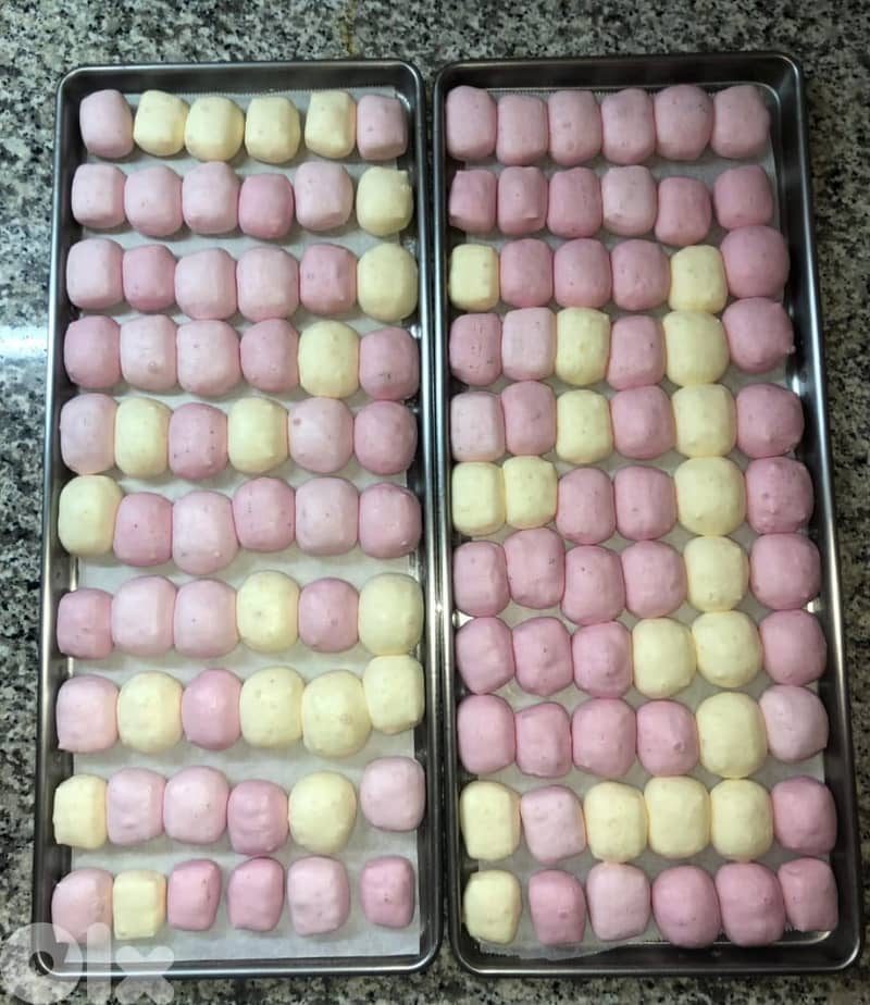 Freeze-Drying Business 5