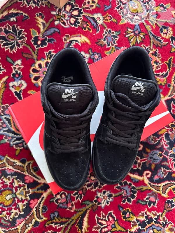 Nike dunk low pro sb 1