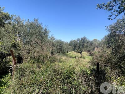 RWB167NK - Land for rent in Aamchit Jbeil