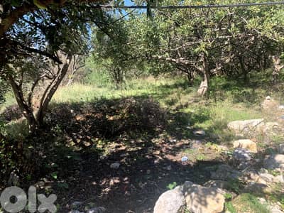 RWB188NK - Land for rent in Amchit Jbeil