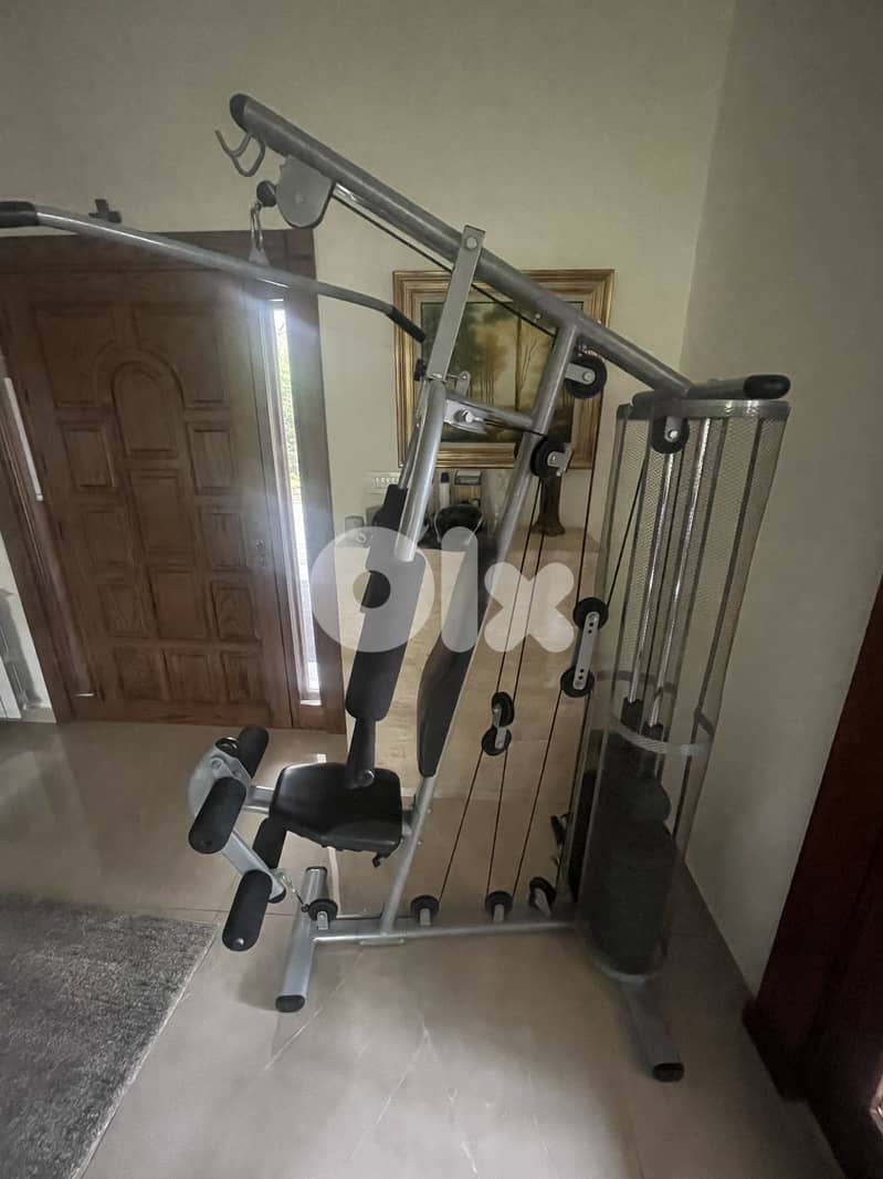 Full body machine (chest, back, tri, legs, bi) 2