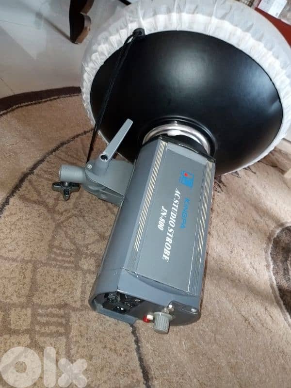 flash 800 watts electric with beauty dish 1