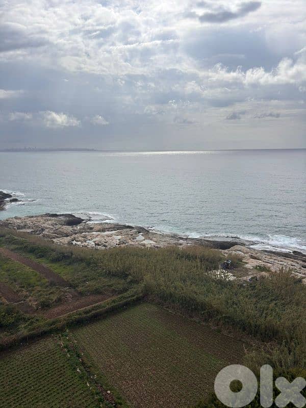 Chalet for Sale: - Tabarja | High Potential 5