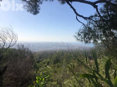 Land for Sale in Ain Saade