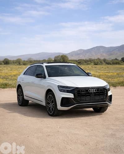 Audi Q8 2019