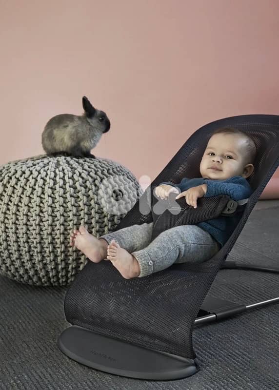 Baby Bouncer 1