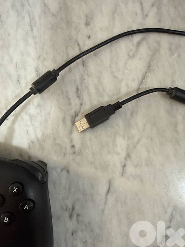 Nintendo Switch Pro controller wired 2