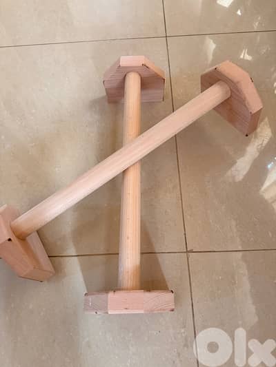 calisthenics handles