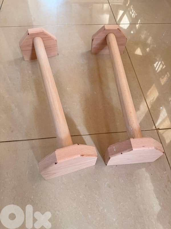 calisthenics handles 2