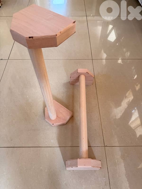 calisthenics handles 5