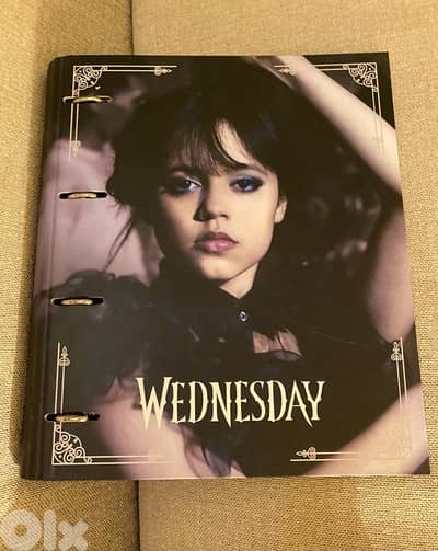 Wednesday file folder