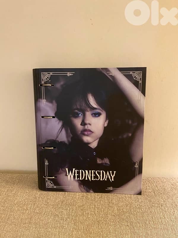 Wednesday file folder 1