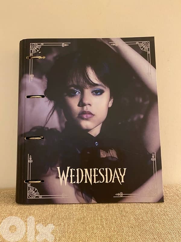 Wednesday file folder 2