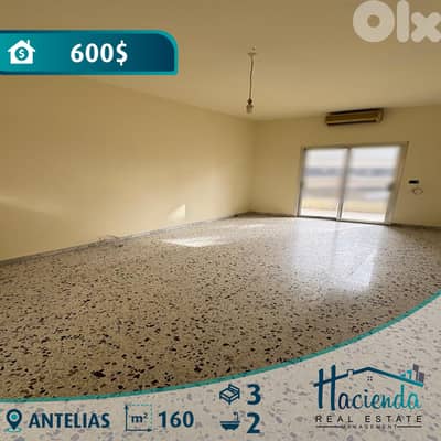 Apartment For Rent In Antelias