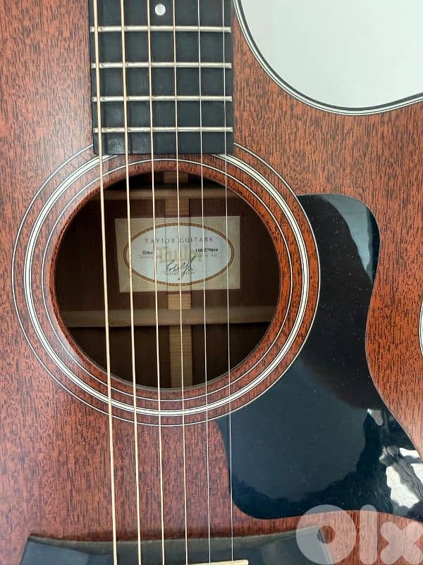 Taylor Acoustic Guitar 1