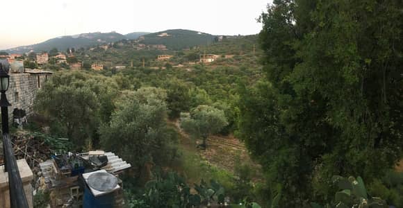 Land for sale in Chabtine, Batroun أرض للبيع في شبطين، البترون