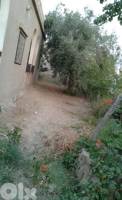 land for sale in elkaa أرض للبيع في القاع