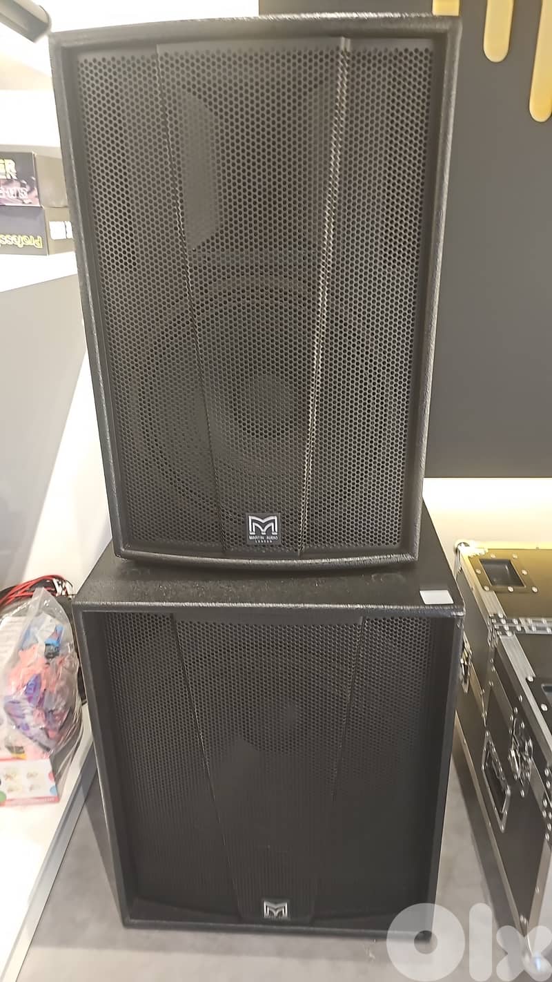 professional stage speakers 2