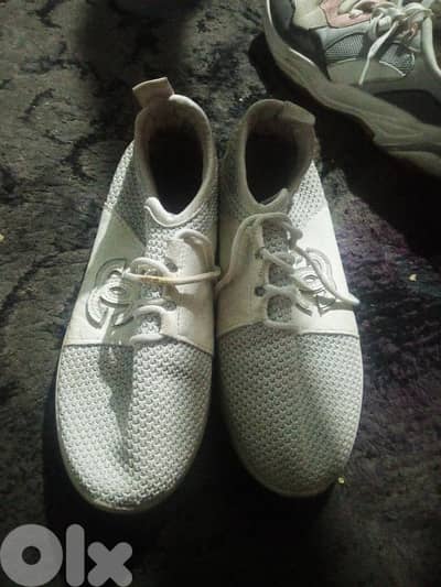 علي مجدل بعنا