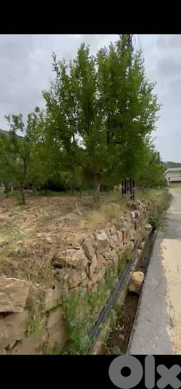 land for sale in basloukit ehden أرض للبيع في بصلوقيت اهدن