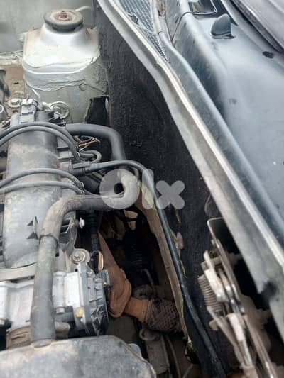 اكسسوارات نوعيه مرتبه شروه