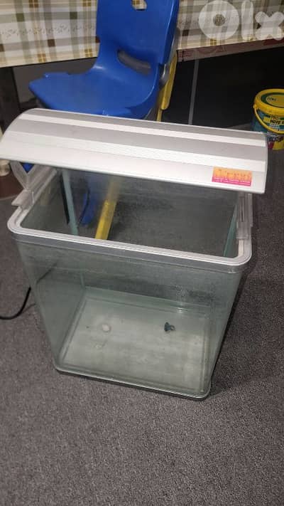 aquarium  اكواريوم