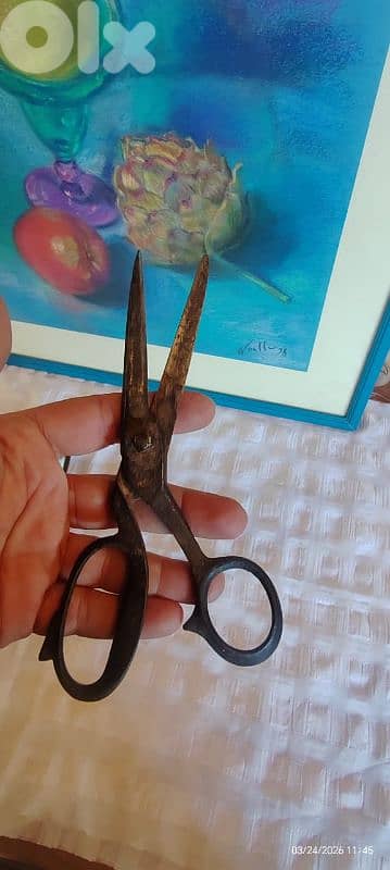 Perfect for collectors 3