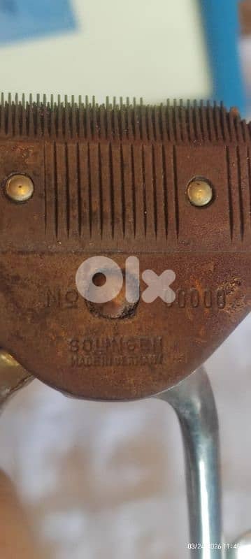 Perfect for collectors 4