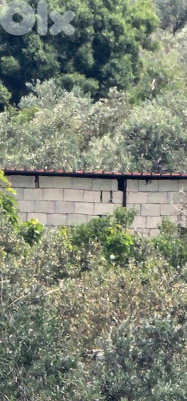 land in deddeh for sale