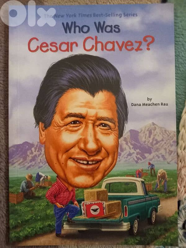 who was book series 16