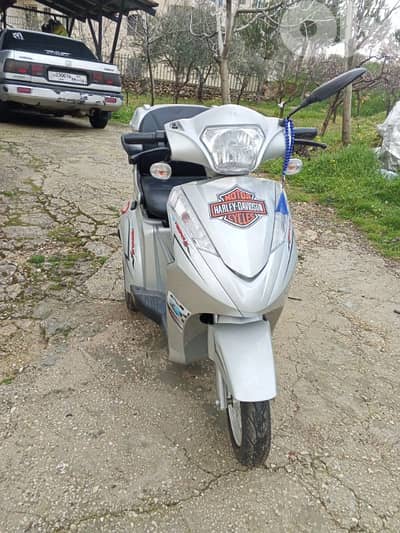 عاليه حي الوطى