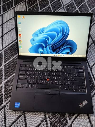 الأوزاعي مسبح ميامي ٧٨٩٩٩١٧٩