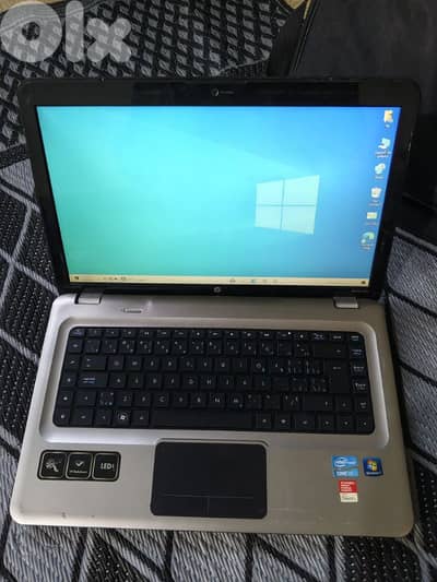 الأوزاعي مسبح ميامي