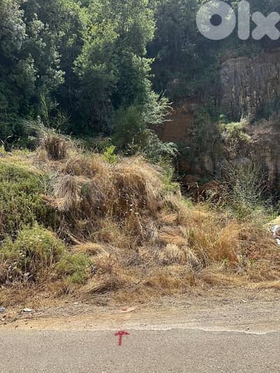 Land for sale in Ain el Sendiane - أرض للبيع في عين السنديانة