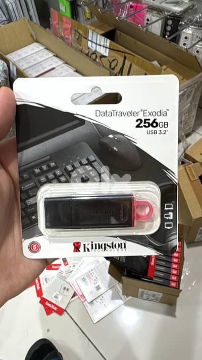 Kingston exodia flash memory 256gb 17$