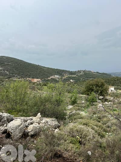 4 lands for sale in Assia, Batroun أربع قطع أراضٍ للبيع في آسيا
