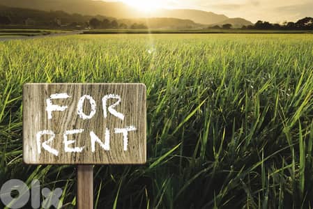 Land For Rent in Horch Tabet أرض للإيجار في حرش تابيت