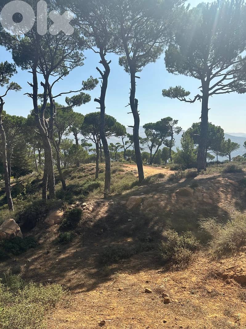 Land for sale (with construction permits) - payment facilities 14