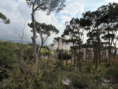 Land for Sale in Mar Moussa – 1,313 sqm أرض للبيع في مار موسى