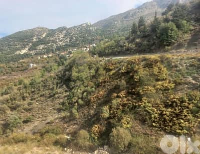 Land for Sale | Basloukit | hot Deal | ارض للبيع | zgharta| RF