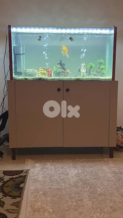 Luxury Aquarium  FULL SET + Cabinet – Ready to Use