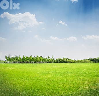 Land for Sale in Bakish