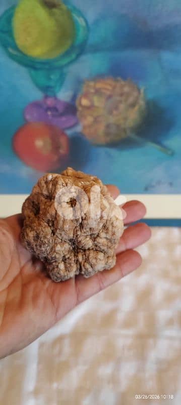 White quartz geode, rock 2