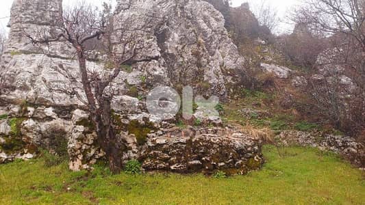 lands for sale in Douma أرض للبيع في دوما