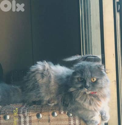 السعديات الطريق البحري مقابل مغفر الدرك