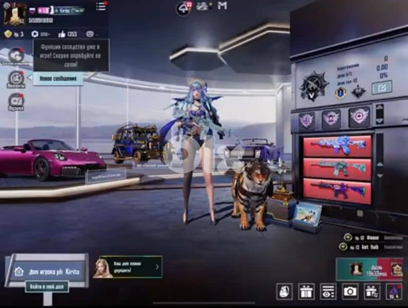 PUBG Mobile Account for Sale – High Value Inventory 3