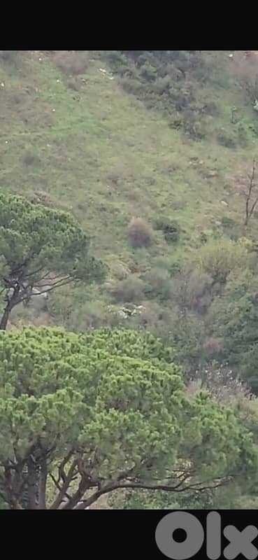 2300m land zone 25/50 Qobeih Suitable for Touristic or Bangallows 5